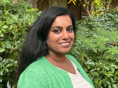 Shindy website photo